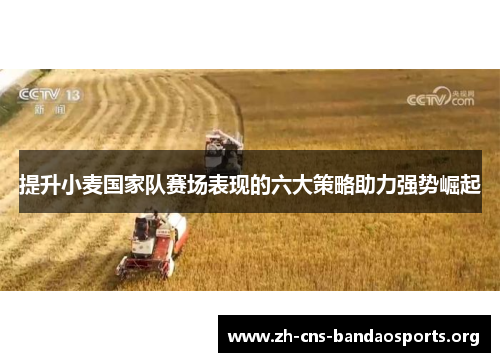提升小麦国家队赛场表现的六大策略助力强势崛起 提升小麦国家队赛场表现的六大策略助力强势崛起