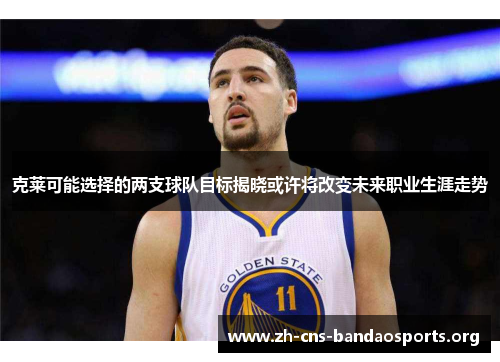 克莱可能选择的两支球队目标揭晓或许将改变未来职业生涯走势 克莱可能选择的两支球队目标揭晓或许将改变未来职业生涯走势