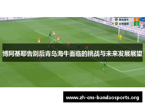 博阿基耶告别后青岛海牛面临的挑战与未来发展展望 博阿基耶告别后青岛海牛面临的挑战与未来发展展望