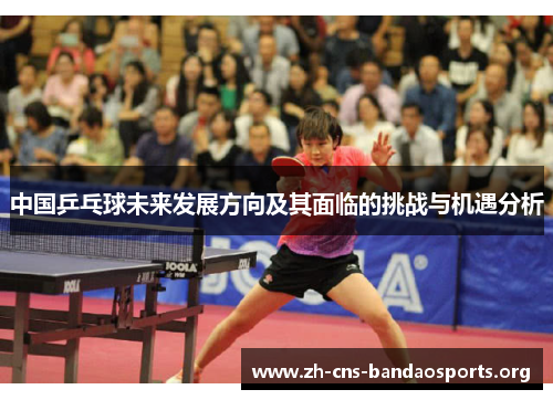 中国乒乓球未来发展方向及其面临的挑战与机遇分析 中国乒乓球未来发展方向及其面临的挑战与机遇分析