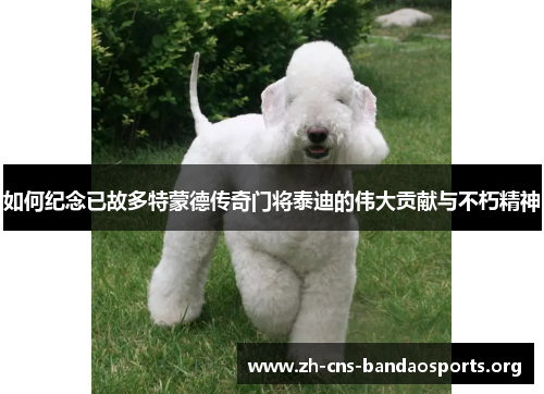 如何纪念已故多特蒙德传奇门将泰迪的伟大贡献与不朽精神 如何纪念已故多特蒙德传奇门将泰迪的伟大贡献与不朽精神