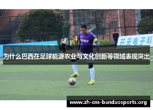 为什么巴西在足球能源农业与文化创新等领域表现突出 为什么巴西在足球能源农业与文化创新等领域表现突出