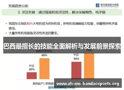 巴西最擅长的技能全面解析与发展前景探索 巴西最擅长的技能全面解析与发展前景探索