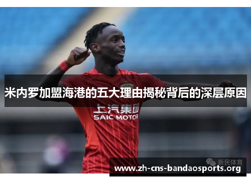米内罗加盟海港的五大理由揭秘背后的深层原因 米内罗加盟海港的五大理由揭秘背后的深层原因