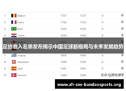 足协准入名单发布揭示中国足球新格局与未来发展趋势 足协准入名单发布揭示中国足球新格局与未来发展趋势